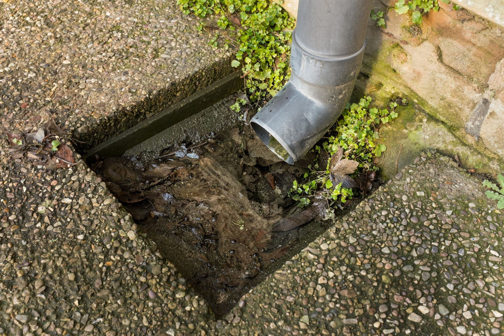 The Top 5 Signs Your Drain is About to Block